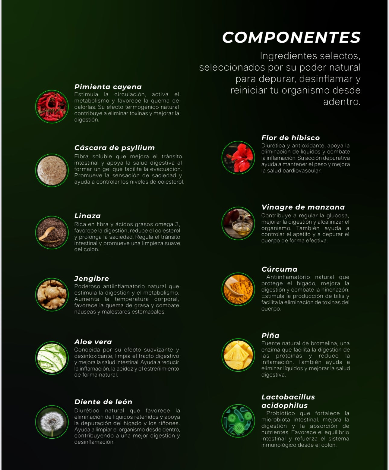 Fatzero detox